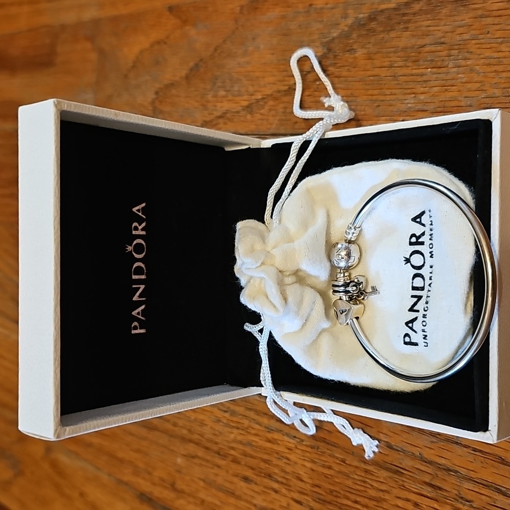 Pandora Silver Charm Bracelet